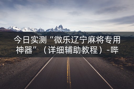 今日实测“微乐辽宁麻将专用神器”（详细辅助教程）-哔哩哔哩