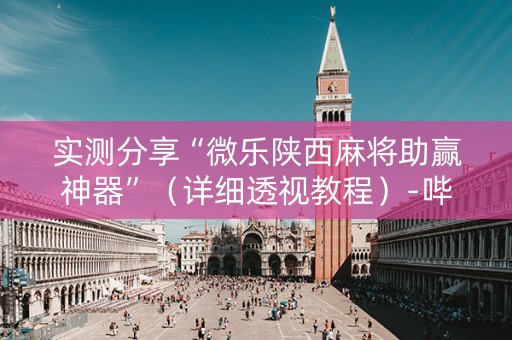 实测分享“微乐陕西麻将助赢神器”（详细透视教程）-哔哩哔哩