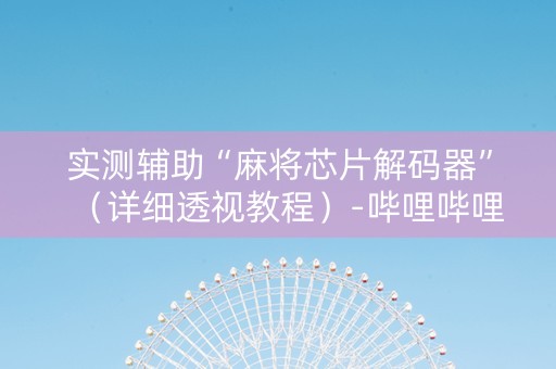 实测辅助“麻将芯片解码器”（详细透视教程）-哔哩哔哩