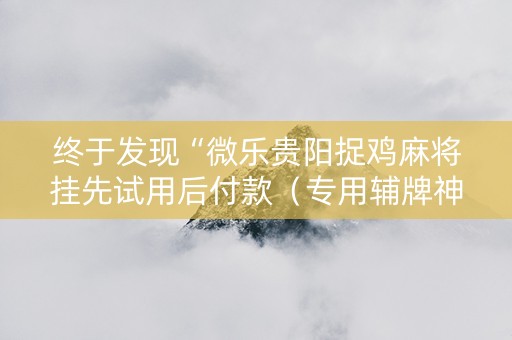 终于发现“微乐贵阳捉鸡麻将挂先试用后付款（专用辅牌神器免安装）