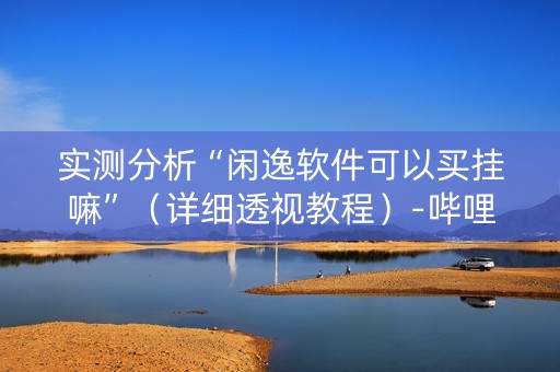 实测分析“闲逸软件可以买挂嘛”（详细透视教程）-哔哩哔哩