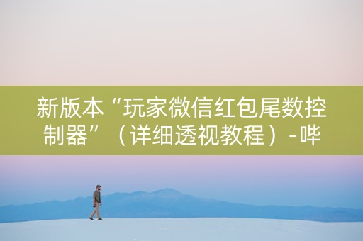 新版本“玩家微信红包尾数控制器”（详细透视教程）-哔哩哔哩