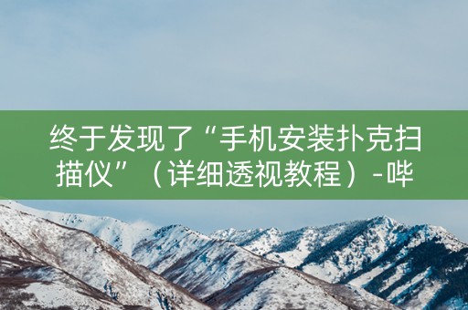 终于发现了“手机安装扑克扫描仪”（详细透视教程）-哔哩哔哩