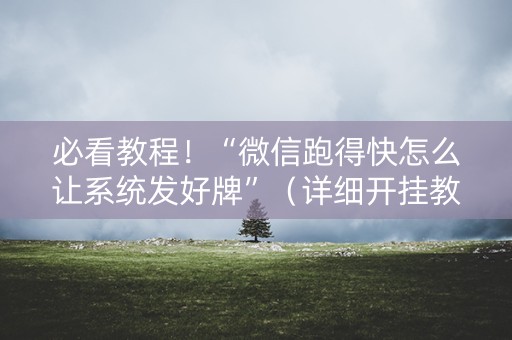 必看教程！“微信跑得快怎么让系统发好牌”（详细开挂教程）-哔哩哔哩