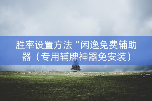 胜率设置方法“闲逸免费辅助器（专用辅牌神器免安装）