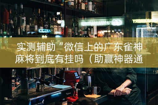 实测辅助“微信上的广东雀神麻将到底有挂吗（助赢神器通用版）