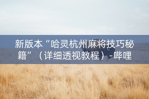 新版本“哈灵杭州麻将技巧秘籍”（详细透视教程）-哔哩哔哩