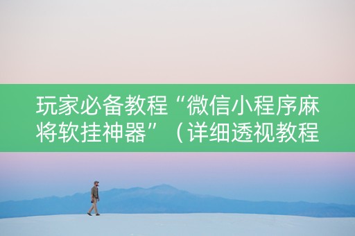 玩家必备教程“微信小程序麻将软挂神器”（详细透视教程）-哔哩哔哩