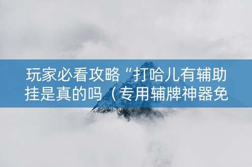 玩家必看攻略“打哈儿有辅助挂是真的吗（专用辅牌神器免安装）