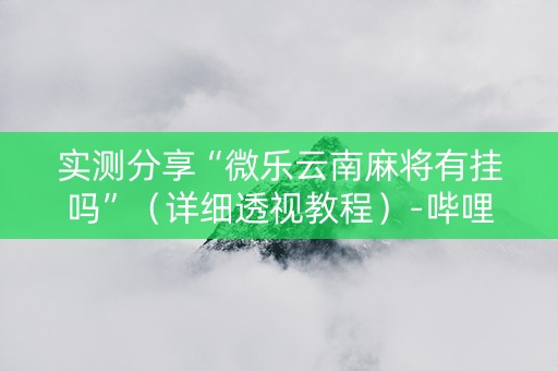 实测分享“微乐云南麻将有挂吗”（详细透视教程）-哔哩哔哩