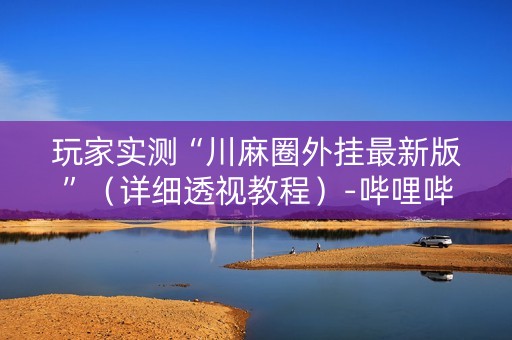 玩家实测“川麻圈外挂最新版”（详细透视教程）-哔哩哔哩
