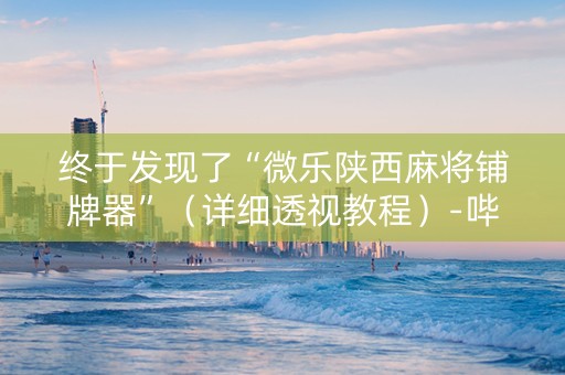 终于发现了“微乐陕西麻将铺牌器”（详细透视教程）-哔哩哔哩