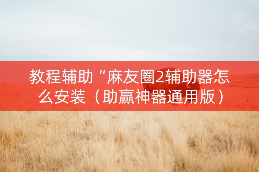 教程辅助“麻友圈2辅助器怎么安装（助赢神器通用版）