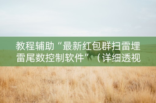 教程辅助“最新红包群扫雷埋雷尾数控制软件”（详细透视教程）-哔哩哔哩