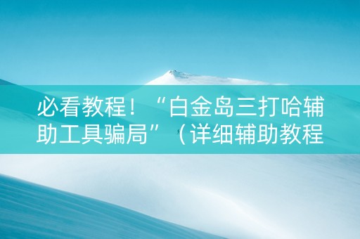 必看教程！“白金岛三打哈辅助工具骗局”（详细辅助教程）-哔哩哔哩