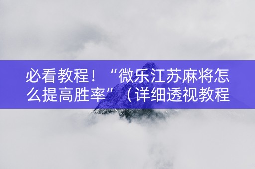 必看教程！“微乐江苏麻将怎么提高胜率”（详细透视教程）-哔哩哔哩