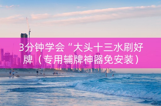 3分钟学会“大头十三水刷好牌（专用辅牌神器免安装）