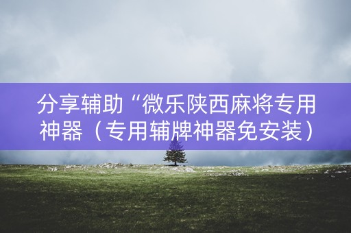 分享辅助“微乐陕西麻将专用神器（专用辅牌神器免安装）