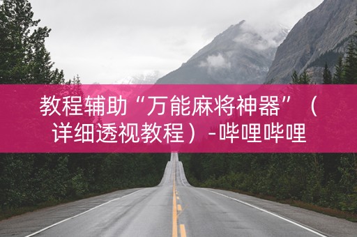 教程辅助“万能麻将神器”（详细透视教程）-哔哩哔哩