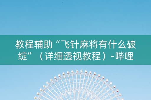 教程辅助“飞针麻将有什么破绽”（详细透视教程）-哔哩哔哩