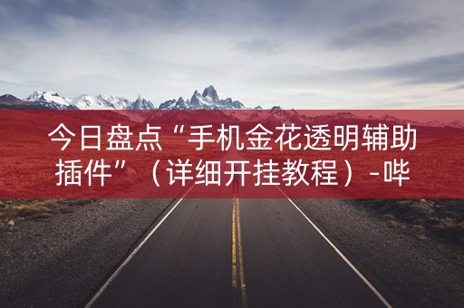 今日盘点“手机金花透明辅助插件”（详细开挂教程）-哔哩哔哩