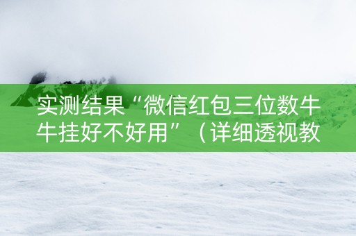 实测结果“微信红包三位数牛牛挂好不好用”（详细透视教程）-哔哩哔哩