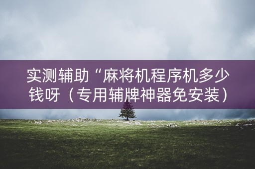 实测辅助“麻将机程序机多少钱呀（专用辅牌神器免安装）