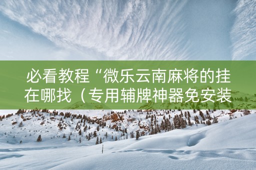 必看教程“微乐云南麻将的挂在哪找（专用辅牌神器免安装）