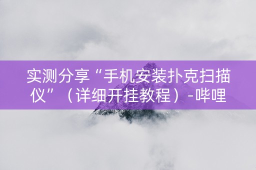 实测分享“手机安装扑克扫描仪”（详细开挂教程）-哔哩哔哩