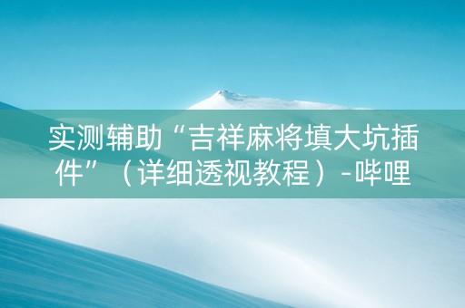 实测辅助“吉祥麻将填大坑插件”（详细透视教程）-哔哩哔哩