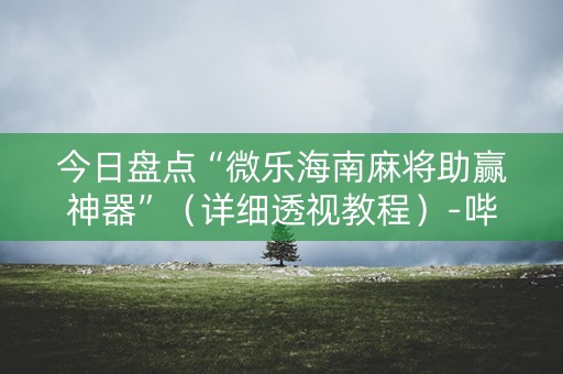 今日盘点“微乐海南麻将助赢神器”（详细透视教程）-哔哩哔哩