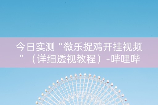 今日实测“微乐捉鸡开挂视频”（详细透视教程）-哔哩哔哩