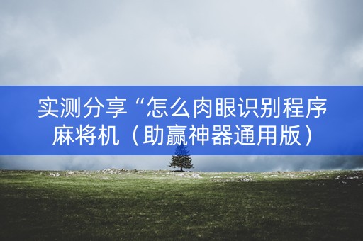 实测分享“怎么肉眼识别程序麻将机（助赢神器通用版）