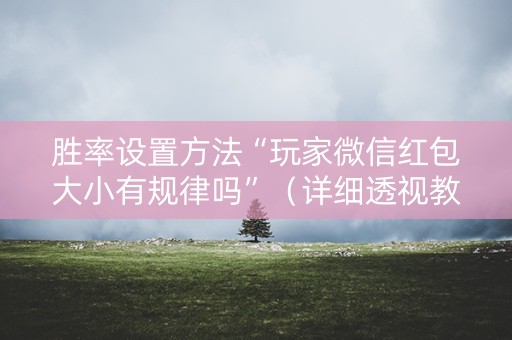胜率设置方法“玩家微信红包大小有规律吗”（详细透视教程）-哔哩哔哩