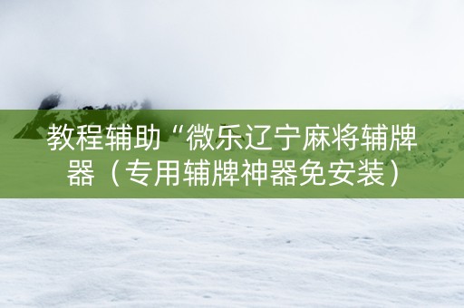 教程辅助“微乐辽宁麻将辅牌器（专用辅牌神器免安装）