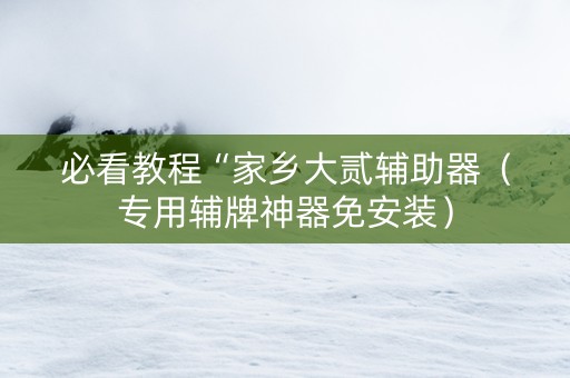 必看教程“家乡大贰辅助器（专用辅牌神器免安装）