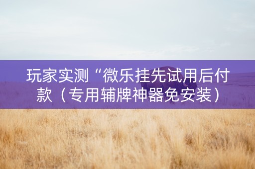 玩家实测“微乐挂先试用后付款（专用辅牌神器免安装）