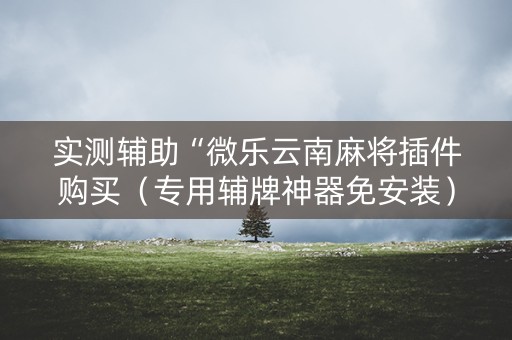 实测辅助“微乐云南麻将插件购买（专用辅牌神器免安装）