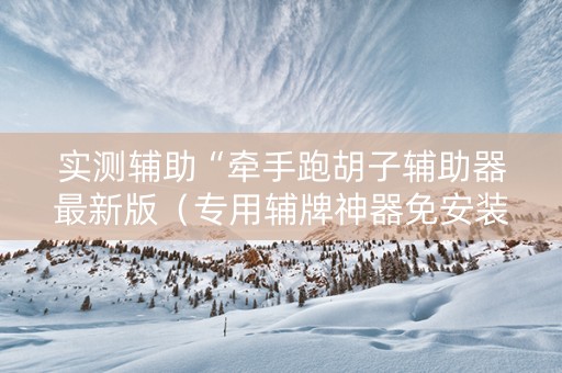 实测辅助“牵手跑胡子辅助器最新版（专用辅牌神器免安装）