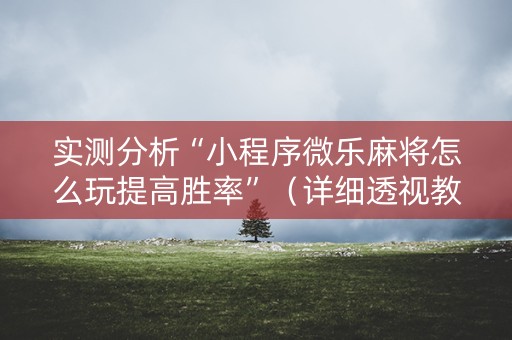 实测分析“小程序微乐麻将怎么玩提高胜率”（详细透视教程）-哔哩哔哩