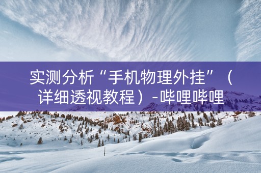 实测分析“手机物理外挂”（详细透视教程）-哔哩哔哩