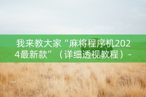 我来教大家“麻将程序机2024最新款”（详细透视教程）-哔哩哔哩