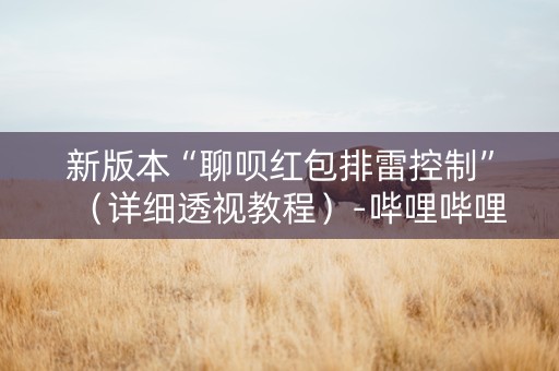 新版本“聊呗红包排雷控制”（详细透视教程）-哔哩哔哩