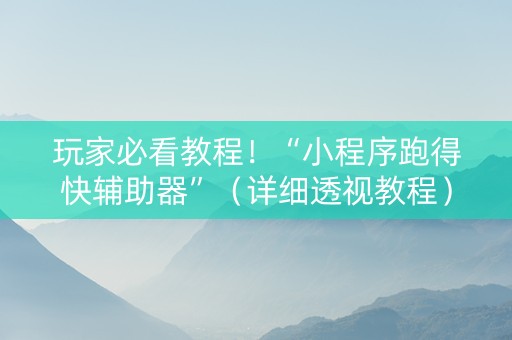 玩家必看教程！“小程序跑得快辅助器”（详细透视教程）-哔哩哔哩