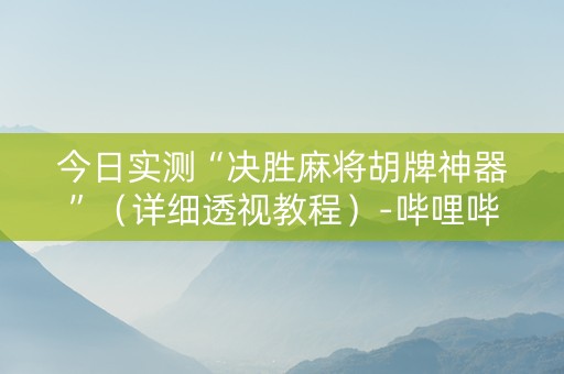 今日实测“决胜麻将胡牌神器”（详细透视教程）-哔哩哔哩