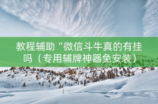 教程辅助“微信斗牛真的有挂吗（专用辅牌神器免安装）