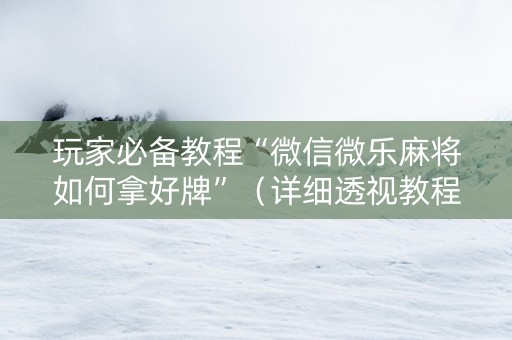玩家必备教程“微信微乐麻将如何拿好牌”（详细透视教程）-哔哩哔哩