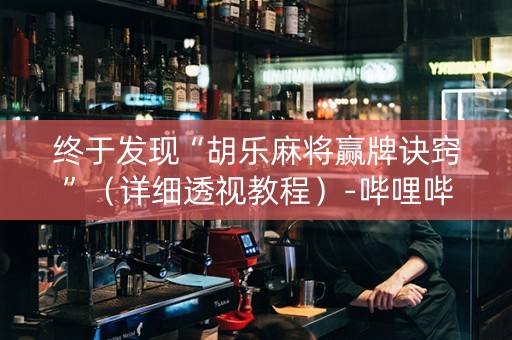 终于发现“胡乐麻将赢牌诀窍”（详细透视教程）-哔哩哔哩