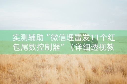 实测辅助“微信埋雷发11个红包尾数控制器”（详细透视教程）-哔哩哔哩