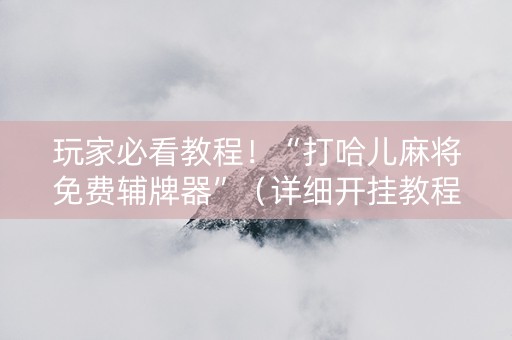 玩家必看教程！“打哈儿麻将免费辅牌器”（详细开挂教程）-哔哩哔哩